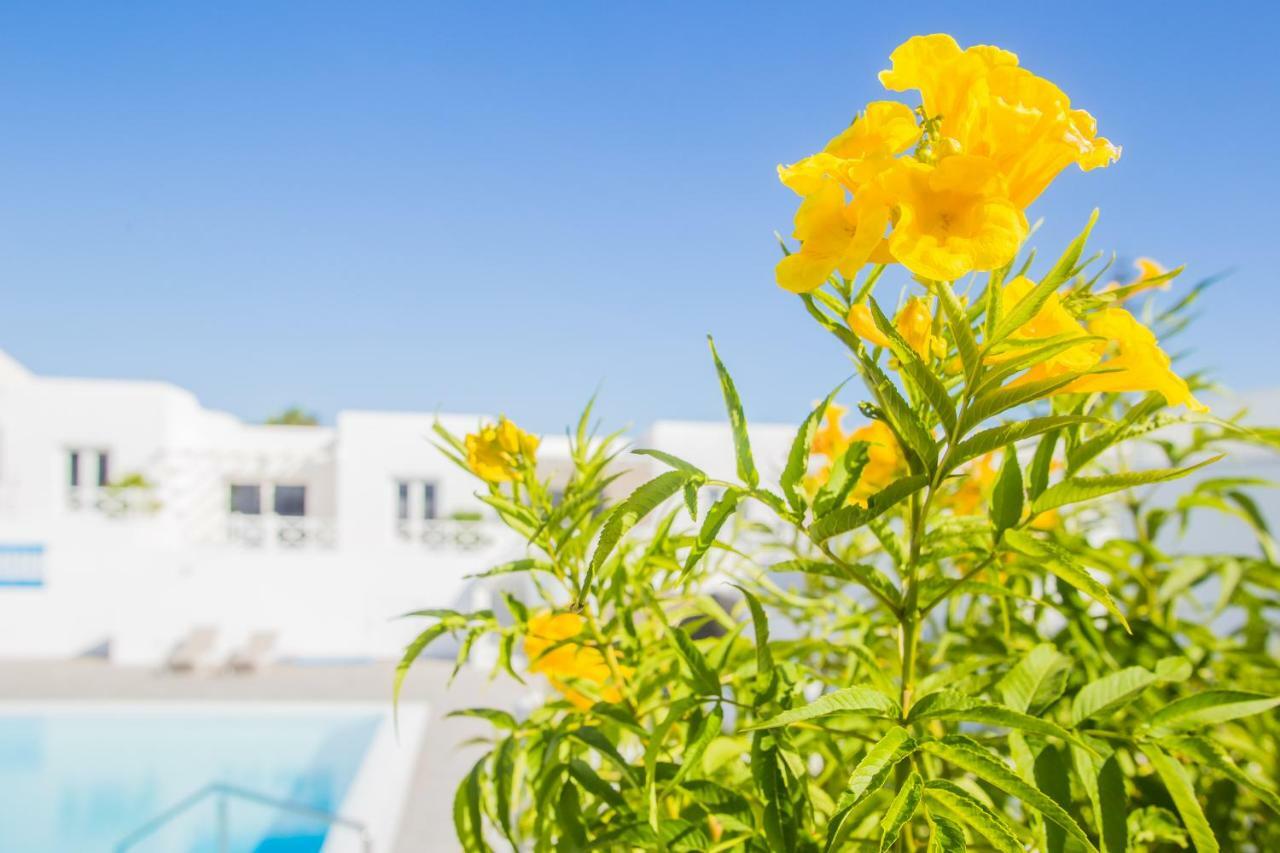 Flower Beach Suite 6 Playa Honda  Kültér fotó